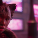 <i>Cats</i> Is a Metaphor About Heaven?